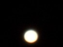 CIMG4243 * 2816 x 2112 * (1.12MB)