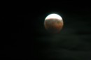 978_v_Nuit_du_16-08-2008_Faverolles_Eclipse_Lune * 1728 x 1152 * (697KB)